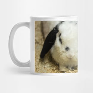 Rabbit Mug